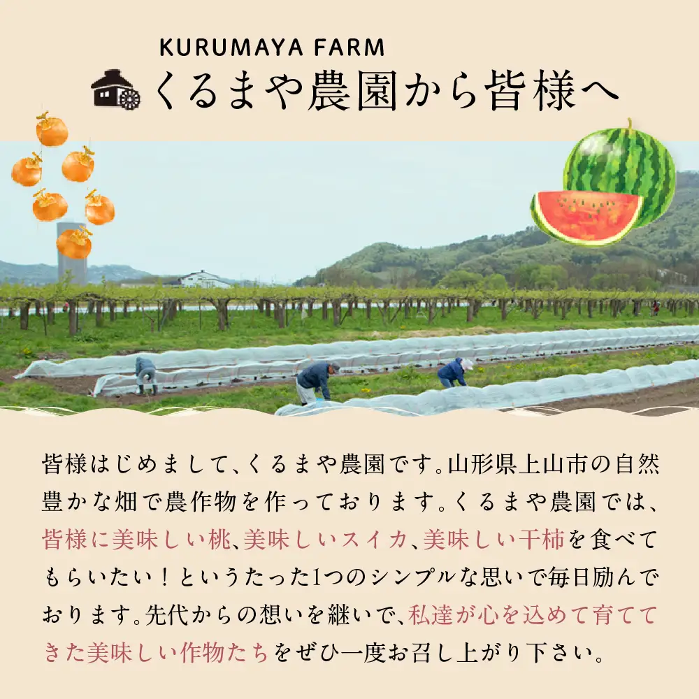 紅干し柿　１５個　ギフト箱入り　0033-2614