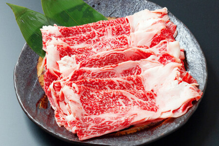 牛肉 黒毛和牛 宮崎産 リブロース スライス 500g [ウィズ・クリエイティブ 宮崎県 日向市 452060800]