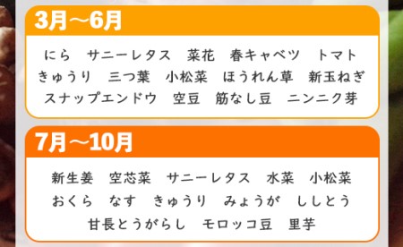 高知県香南市産 旬のお野菜詰合せ(10～13品目)  - やさい 10～13種類 セット 詰め合わせ 季節の野菜 新鮮 料理 サラダ アレンジ おたのしみ お楽しみ おまかせ お任せ フレッシュ 国産 プライム株式会社 高知県 香南市 pr-0007
