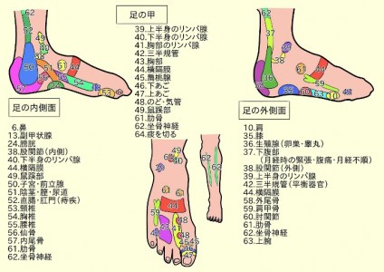 ほぐし棒　せえらいて