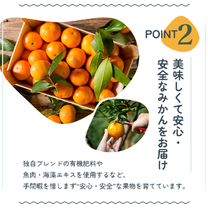 2026年秋よりお届け 瀬戸内　小みかん！コロ丸　約3kg 果物類 柑橘類 フルーツ 