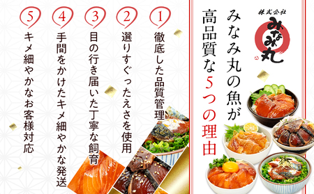 【ふるなびWEEK対象】 【 海鮮丼 】 海鮮丼 5種 2p