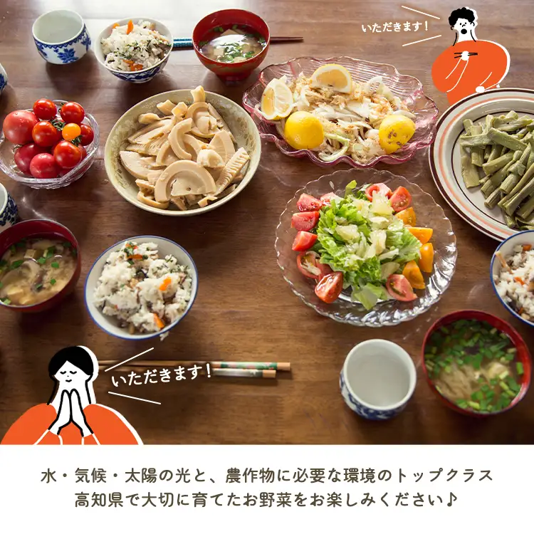 野菜 定期便【全12回】（10〜13種） 野菜 セット Wpr-0010