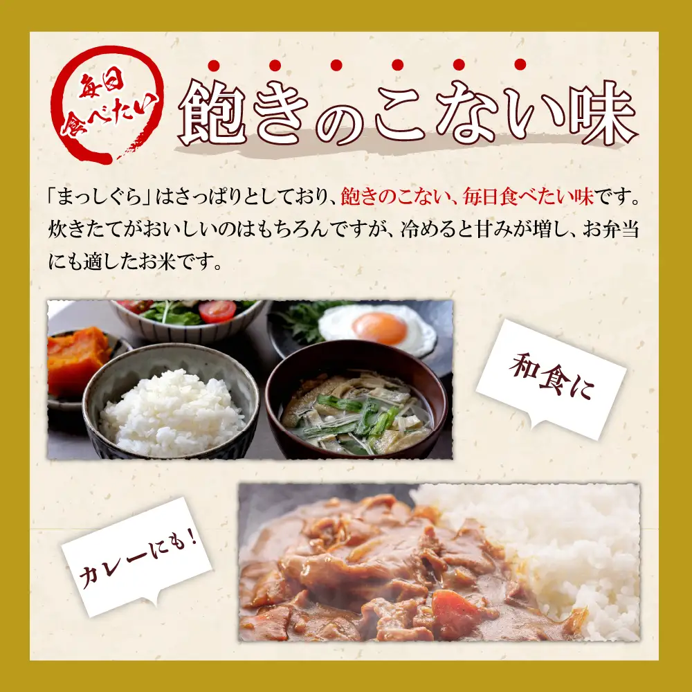 【定期便 9ヶ月】 米 10kg まっしぐら 青森県産 (精米) 定期便9回 10kg×9回