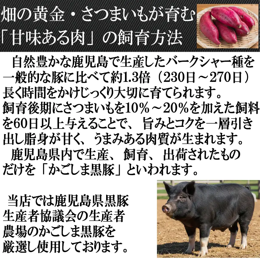 【25-31】鹿児島黒豚100%手作りハンバーグ 110g×3個（冷凍）スエヒロ家