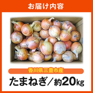 三豊市のたまねぎ 約20kg