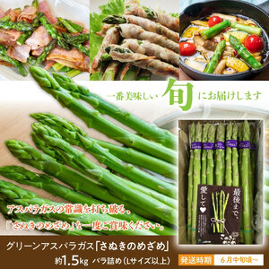 アスパラガス「さぬきのめざめ」約1.5kg(夏芽)