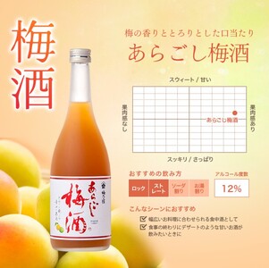 梅酒 あらごし梅酒 720ml 梅乃宿【umyd004A】