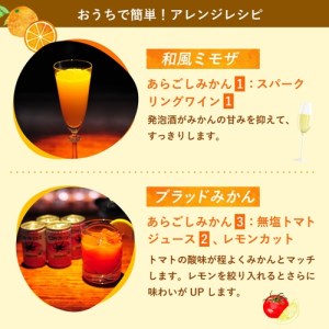 梅乃宿 あらごしみかん 1800ml リキュール【umyd003A】