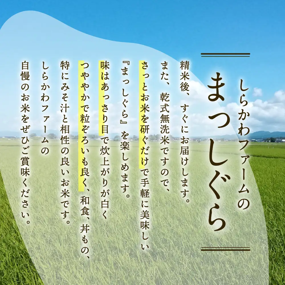 青森県産 無洗米 10㎏ まっしぐら （精米）乾式無洗米