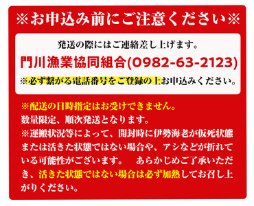 ＜数量限定＞天然！門川町産活き伊勢海老(計1kg・約2～3尾)エビ えび 刺身 魚介 海鮮 朝獲れ 国産【O-4】【門川漁業協同組合】