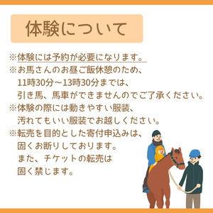 引馬体験 1回分 チケット 【馬っこパーク・いわて】／ ふれあい 引馬 引き馬 乗馬 体験 乗馬体験 馬 ホース ホースセラピー 動物 アニマル アニマルセラピー セラピー 癒し 体験チケット 観光 遊び あそび お出掛け お出かけ おでかけ アクティビティ 子供 子ども こども 大人 おとな おすすめ