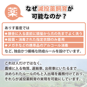 国産 四元豚 ロース バラ ブロック セット 真空パック 各 1kg 総量 2kg ／ ありすぽーく 豚 肉 豚肉 ブロック肉 塊肉 豚バラ 豚ロース １ｋｇ ２ｋｇ 真空 精肉 ローストポーク チャーシュー 叉焼 焼き肉 焼肉 とんかつ 角煮 自宅用 家庭用 冷蔵 冷蔵発送 人気 おすすめ