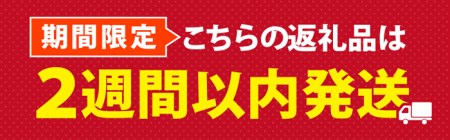 肉巻きおにぎり(計1.2kg・120g×10P)豚肉 お弁当 レンジアップ 小分け 湯煎 個包装 おつまみ レトルト 常温 保存 ご当地 簡単調理【AP-12】【株式会社 日向屋】