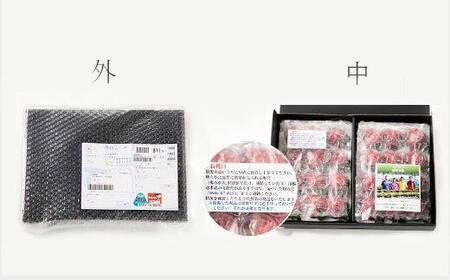 【2027年1月～4月出荷分予約販売】★福岡の産直いちご農家★武下さんちの「完熟あまおう」3Lサイズ 450g