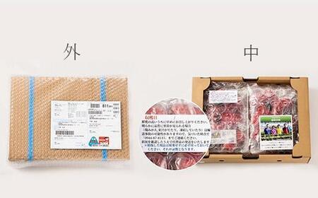 【2026年1月～4月出荷分予約販売】★開けてびっくり★驚きのボリューム完熟あまおう大玉詰め合わせ1200g