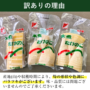 訳あり九州産 たけのこ水煮 200g×8P 計1.6kg 【マツバラ】 i535