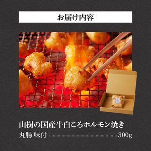 山樹の国産牛白ころホルモン焼き（丸腸）味付　300g [047R19]牛ホルモン ホルモン焼き とろホルモン たれホルモン