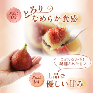 【寄附額改定!】プレミアムいちじく とよみつひめ　1.2kg【JAほたるの里】_HA0278 | いちじく 果物 
