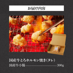 山樹の国産牛とろホルモン焼き（味付/タレ）　300g [047R16]牛ホルモン ホルモン焼き とろホルモン たれホルモン