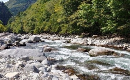 【令和8年】馬瀬川上流雑魚年釣証  1枚 【36-2】