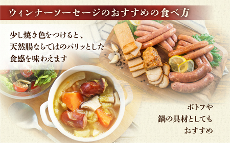 【飛騨 味職人】美味いもんバラエティセット 手作りウインナー（チーズ・ピリ辛ガーリック）フランク,スパイシーチキン,フライッシュケーゼ  【57-10】