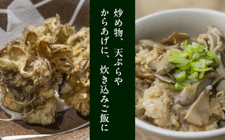飛騨舞茸と佃煮のセット(飛騨舞茸 600g ・舞茸の佃煮 600g（100g×6袋））【60-1】