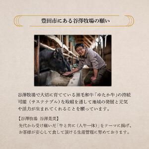 氷温熟成和牛　黒毛和牛ゆたか牛ハンバーグセット