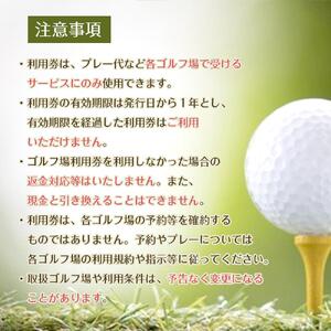 豊田市ゴルフ場利用券１枚（市内１6ゴルフ場利用可）