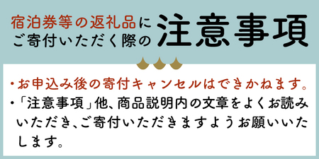 飲泉、自家源泉かけ流しの宿観音温泉「本館」ペア宿泊券 旅行 伊豆
