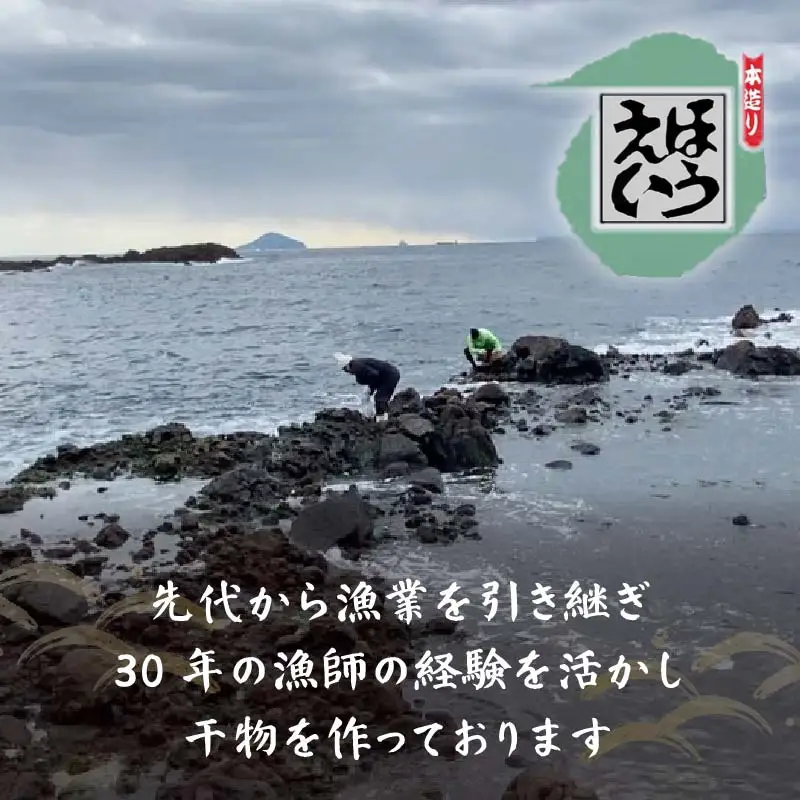 【ほうえい】おまかせおすすめ品セット3 干物 燻製 8種 金目鯛 イカ さんま アジ ムロアジ 味噌漬け みりん干し 一夜干し 丸干し 塩辛 魚 魚介 おつまみ おかず 無添加 お取り寄せ