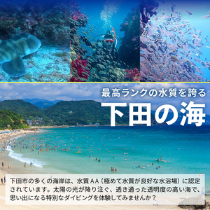 ＜ドラゴンレディ＞体験ダイビング　2回コース [マリンスポーツ アクティビティ]