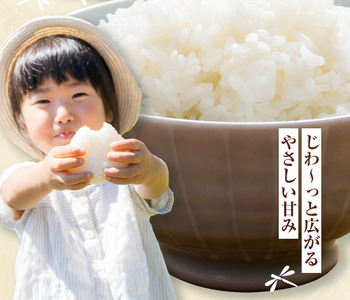 【5ヶ月定期便】令和7年産 七城のこめ 精米 5kg×2袋/月×5回 計50kg ヒノヒカリ ひのひかり 有限会社七城町特産品センター 《お申し込み月の翌月から出荷開始》 熊本県 菊池市 定期便 お米 米 白米 九州産 熊本県産