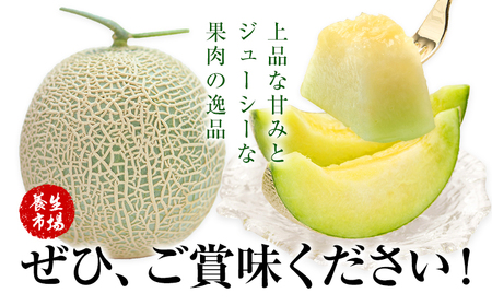 アールスメロン 約2kg×2玉 (約4kg)【養生市場】メロン 果物 フルーツ マスクメロン 九州産 熊本県産 送料無料 《2026年10月中旬-11月中旬頃出荷予定》