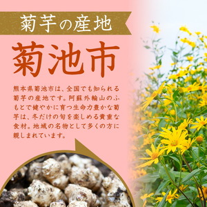 菊芋パウダーセット 2袋 50g×2袋 合計100g パウダー 有限会社きくち観光物産館 《90日以内に出荷予定(土日祝除く)》熊本県 菊池市 粉末 きくいも 菊芋 健康 セット 送料無料