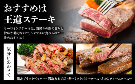 旭志牛 サーロインステーキE 160g×3枚 合計480g 有限会社旭志村ふれあいセンター《90日以内に出荷予定(土日祝除く)》お肉 牛肉 サーロイン ステーキ 菊池ブランド牛 冷凍 送料無料