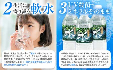 水 シリカ水 500ml × 48本 有限会社七城町特産品センター メロンドーム 《30日以内に出荷予定(土日祝除く)》 熊本県 菊池市 水 軟水 飲料 ドリンク 清涼飲料水 天然地下水 ペットボトル ミネラルウォーター 定期便 送料無料