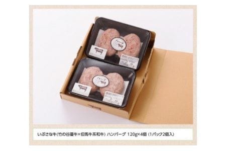 いぶさな牛 ハンバーグ 120g×4個 【 肉 牛肉 和牛 希少 ハンバーグ 焼くだけ 簡単 おうちごはん 】
