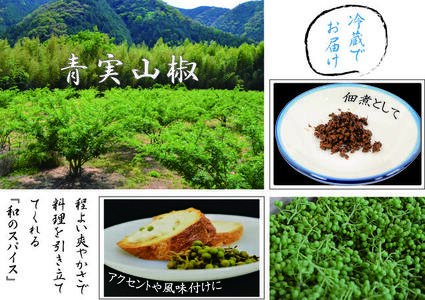 【0.5kg】青実山椒（枝付）初期物 