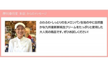 『押川春月堂本店』生メロンパン6個【スイーツ おやつ パン 大人気 生クリーム 川南町】