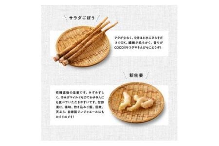 【定期便】産直おすず村 季節の野菜と果物 厳選 詰め合わせセット（小） 【 旬野菜 フルーツ 直売所 産地直送 宮崎県産 】