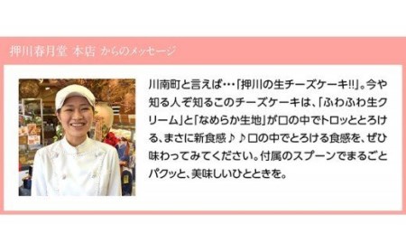 『押川春月堂本店』とろける生チーズケーキ（プレーン2個）【スイーツ ケーキ チーズケーキ 洋菓子ケーキ スプーンでケーキ  おまけつきケーキ】