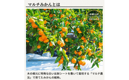 有田 みかん 特選 赤秀 3kg 【 創業120年 農家直送 】 / 温州みかん 有田みかん 甘い ギフト 贈答 高級 和歌山 柑橘 ※2026年11月中旬より2027年1月下旬に順次発送予定 【isy004-gif-3B】