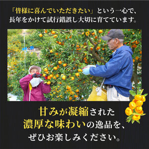有田 みかん 特選 3kg 【 創業120年 農家直送 】 / 温州みかん 有田みかん 甘い 高級 和歌山 柑橘 ※2026年11月中旬～2027年1月下旬に順次発送 【isy004-r-3B】