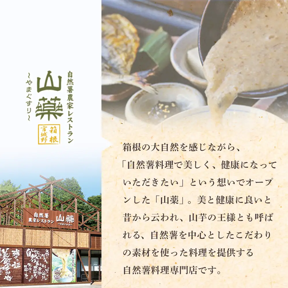 解凍するだけでお店の味が楽しめる。自然薯味付とろろ100ｇ×１０ｐセット【とろろ 極上とろろ 山芋 箱根 お家用 家庭用 国産 セット商品 自然薯 味付とろろ 贈答品 神奈川県 小田原市 とろろ】