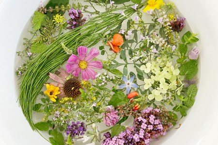 【スタンダードコース】ハーバルハンドバス体験チケット（2名様分） [ハーバルヘルスケアトレーナーの会 みちくさ 長野県 池田町 48110080]