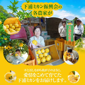 S040-023A_農家の手摘みあまくさ木成り晩柑 約7.5kg 先行受付