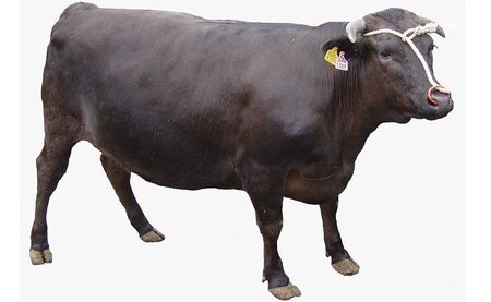 C-080 ＜数量限定＞鹿児島黒牛リブロース肉600g(Ａ-5等級) 【九面屋】国産 鹿児島黒牛 牛肉 鹿児島県産 黒毛和牛 肉 精肉 牛 すき焼き しゃぶしゃぶ A5等級