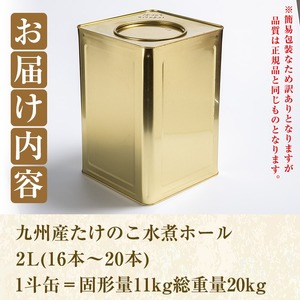 【ふるなび限定】＜訳あり・業務用＞数量限定！1斗缶たけのこ水煮ホール2L(16本～20本) 国産 九州産 鹿児島県産 筍 竹の子 水煮 簡易包装 酢豚 筑前煮 若竹煮 天ぷら チンジャオロース たけのこご飯 きんぴら【上野食品】akn008-21 FN-Limited-SP