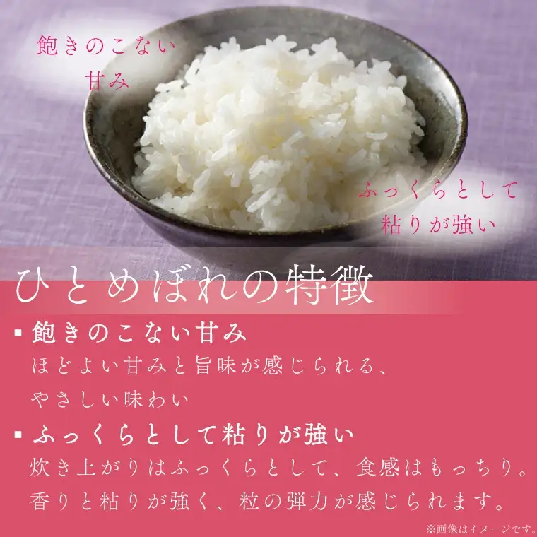 【定期便 3ヶ月】無洗米 令和7年産 食べ比べ 10kg 各種 5kg AE167 無洗